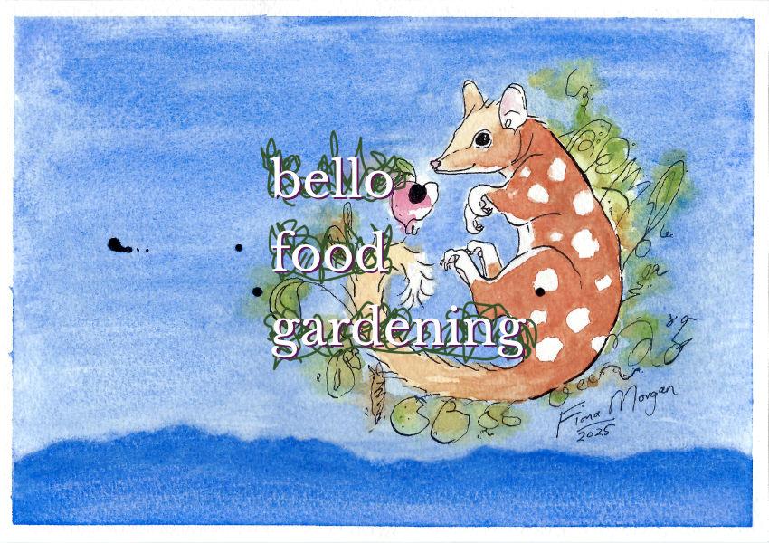 Bello food gardening is back