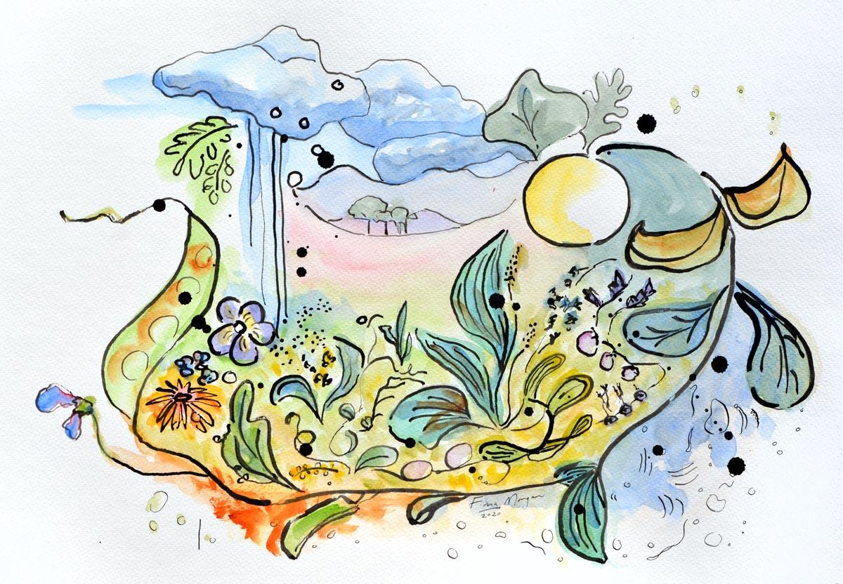 Artistic image - a garden of plants