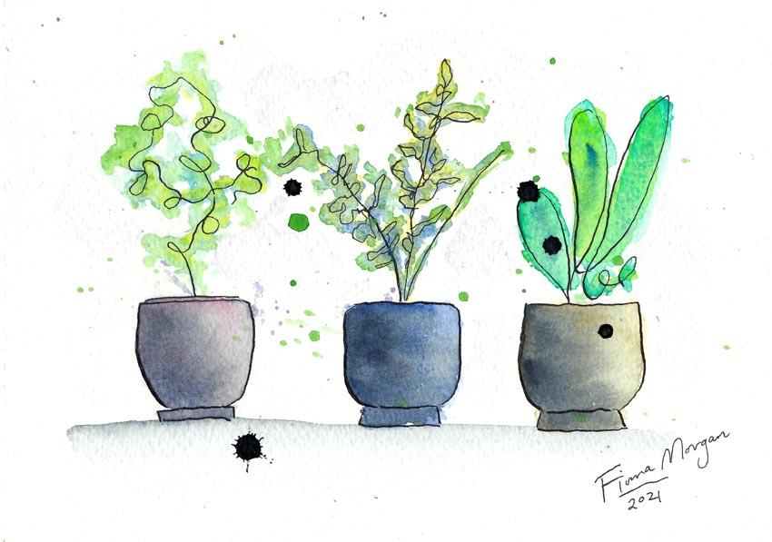 Artistic image - plants in pots