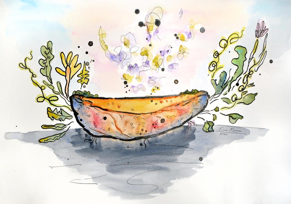 Artistic image - secrets of compost