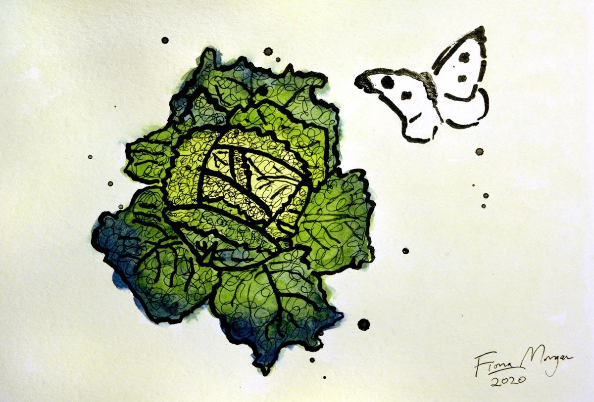 Artistic image - cabbage and cabbage moth