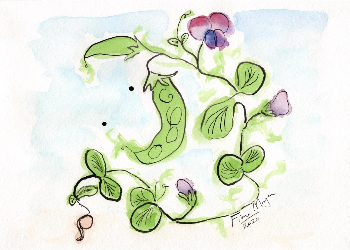 Artistic image - snowpeas