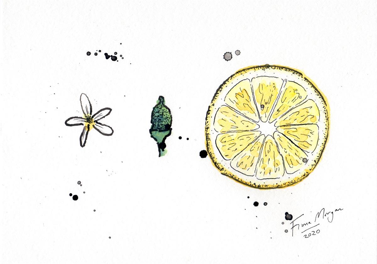 Artistic image - lemon