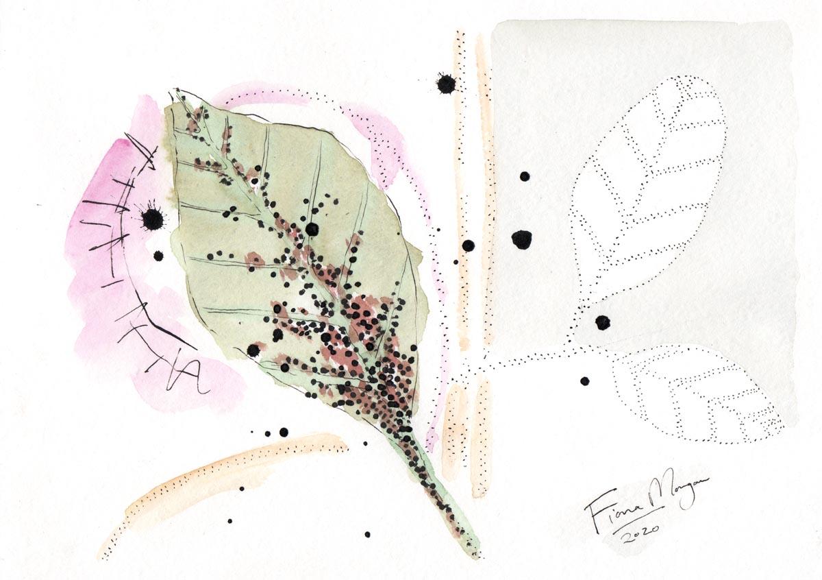 Artistic image - ants farming aphids