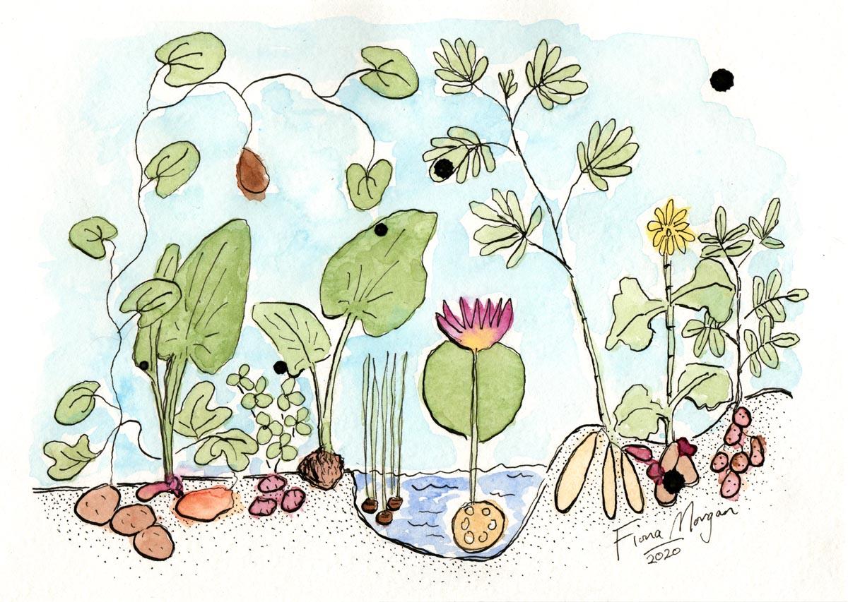 Artistic image - potato alternatives