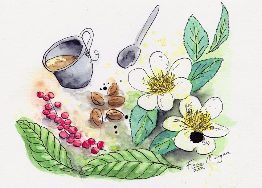 Artistic image - tea & coffee