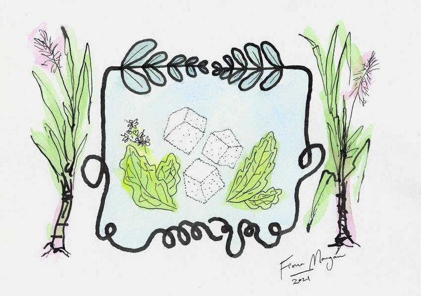 Artistic image - sweeteners - sugar, stevia, liquorice