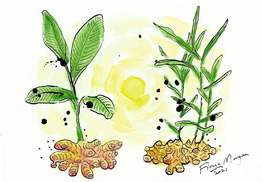 Artistic image - turmeric & ginger