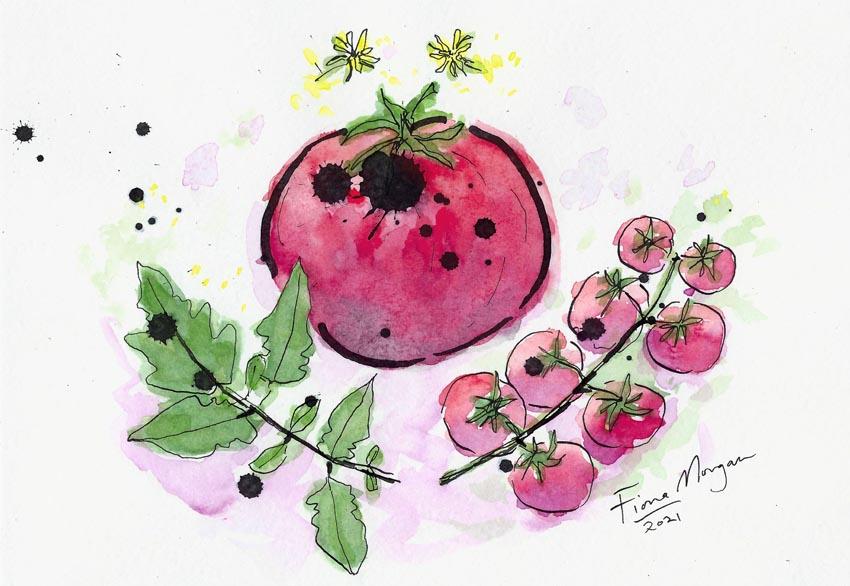 Artistic image - tomatoes