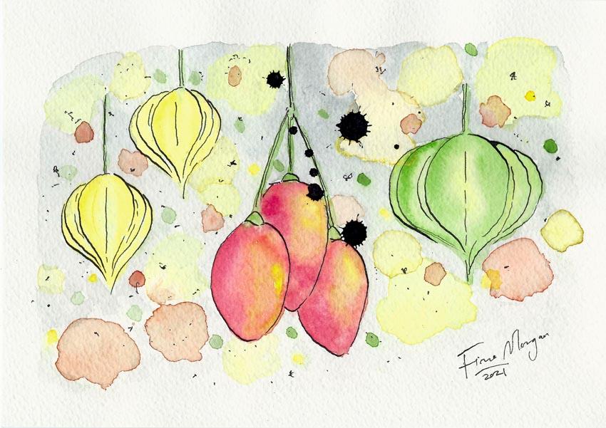 Artistic image - cape gooseberry, tamarillo, tomatillo