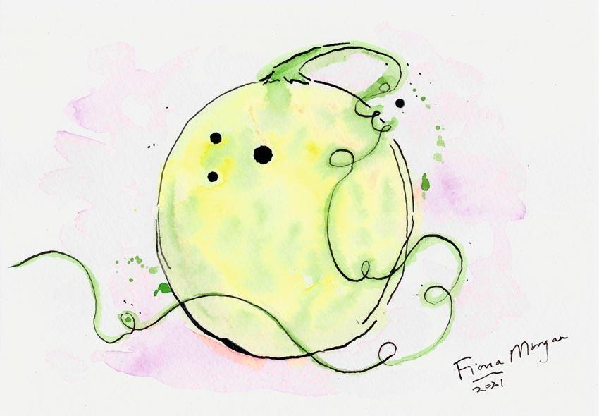 Artistic image - melon