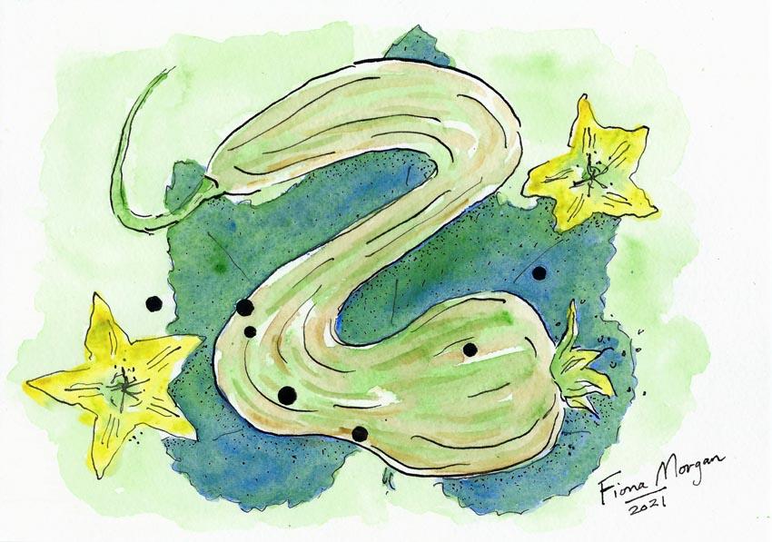 Artistic image - tromboncino