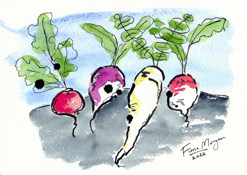 Artistic image - radishes