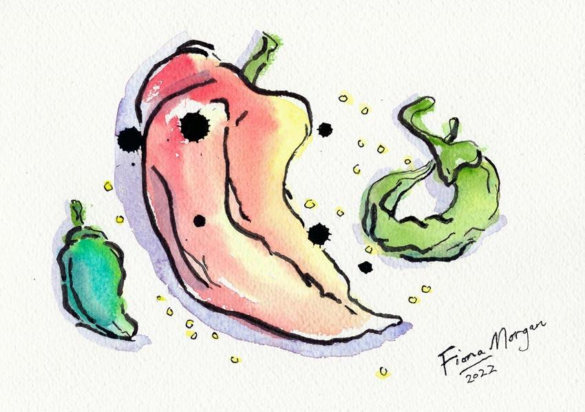 Artistic image - capsicums & chilli