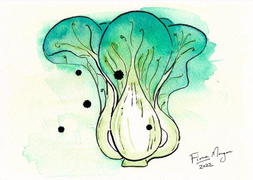 Artistic image - bok choy