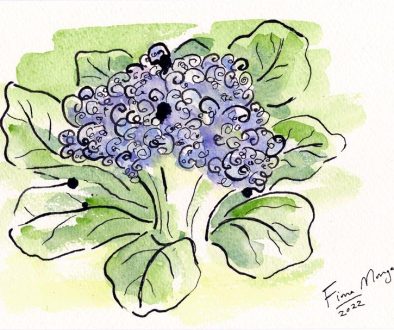 Artistic image - purple cauliflower