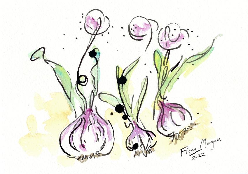 Artistic image - garlic