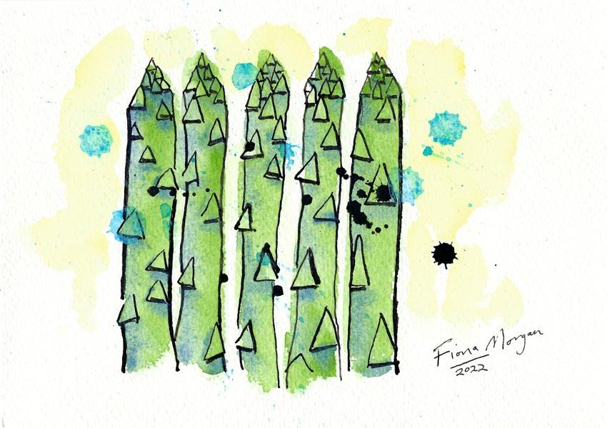 Artistic image - asparagus