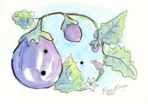 Artistic image - eggplant