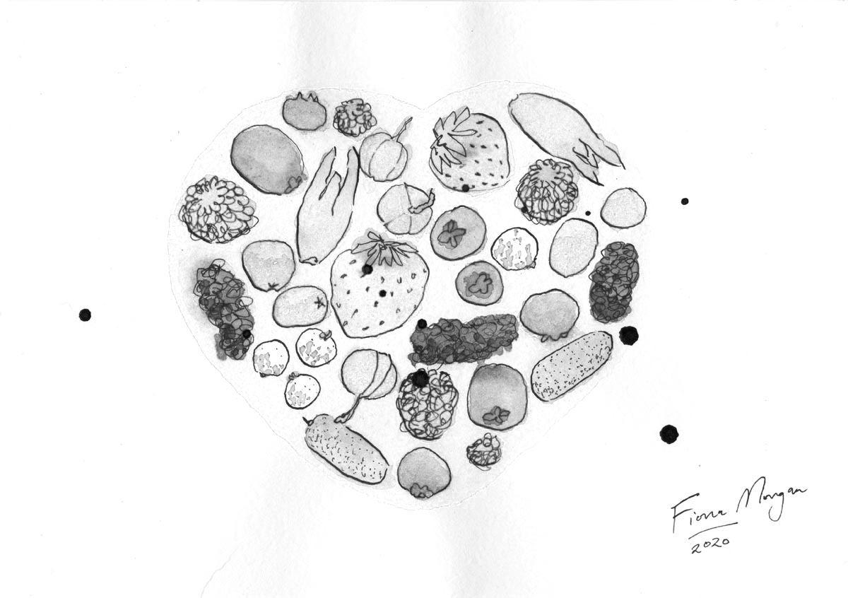 Food resilience fruit overview – berries, vines & small fruits