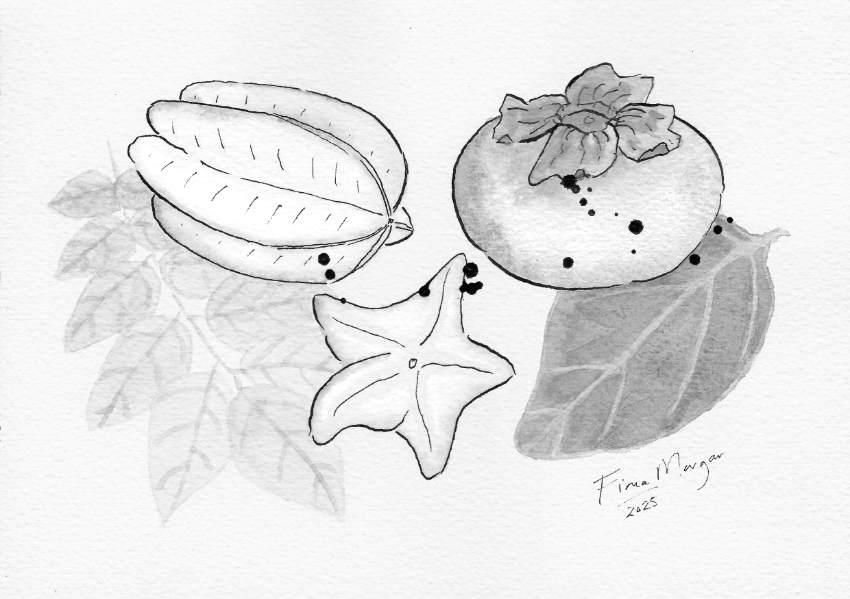 Large fruit detail – persimmon, star fruit