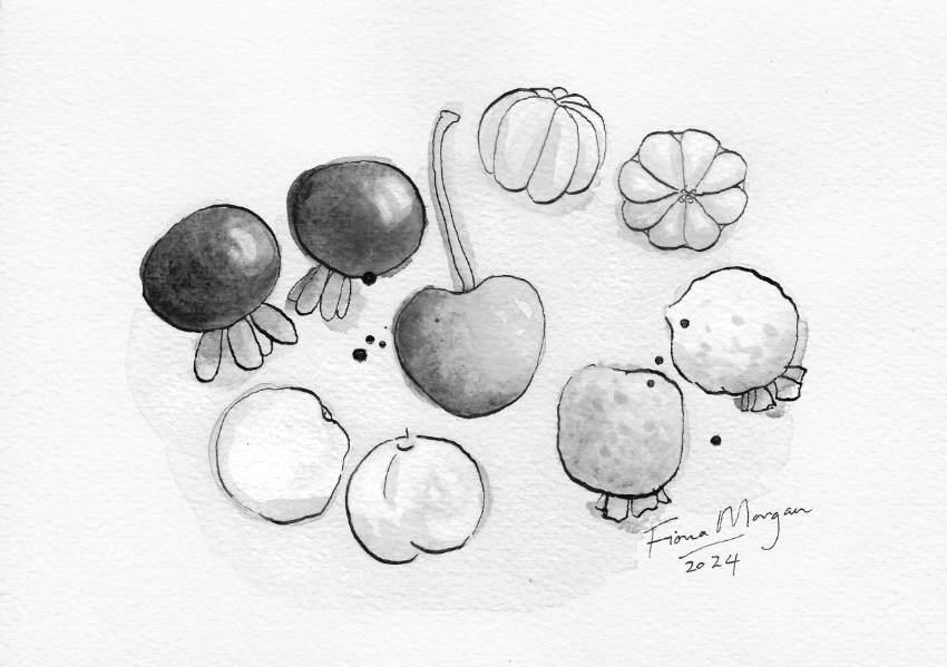 Subtropical cherries