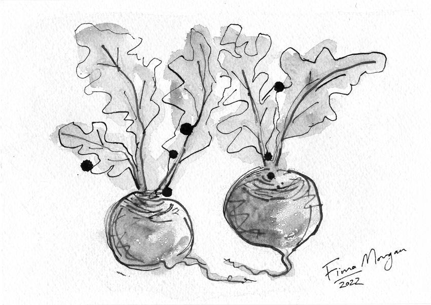 Beetroot & other winter bulbs