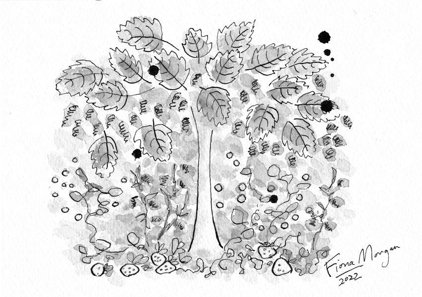 Berries detail – strawberry, mulberry, blueberry, blackberry