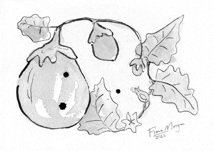 Eggplant, celery & other disasters