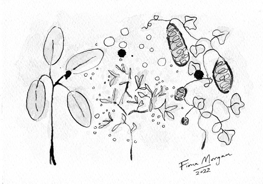 Cleaning up – loo roll, soap, luffa (and fire starters)